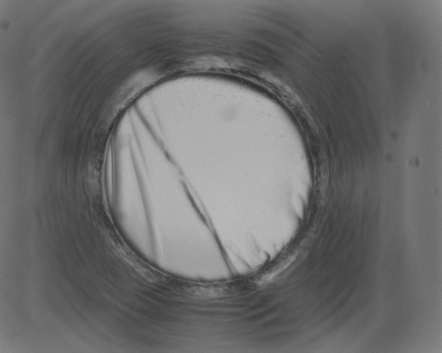 X0000081431409200702092148