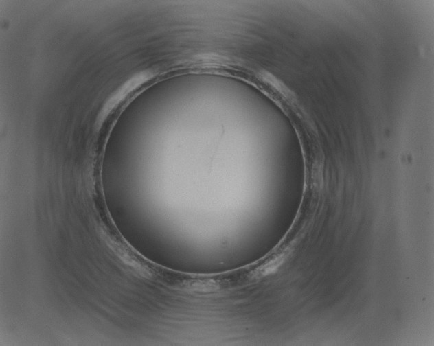 X0000081431410200702092148