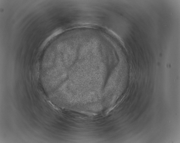 X0000081431411200702092148