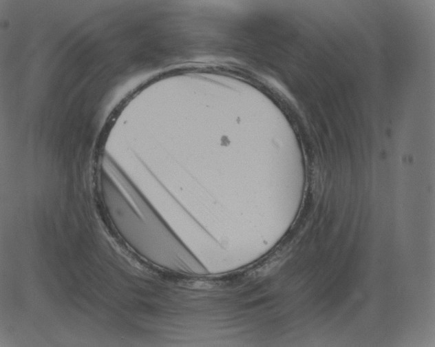 X0000081431412200702092148