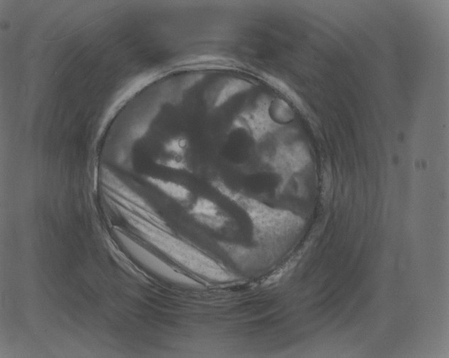 X0000081431413200702092148