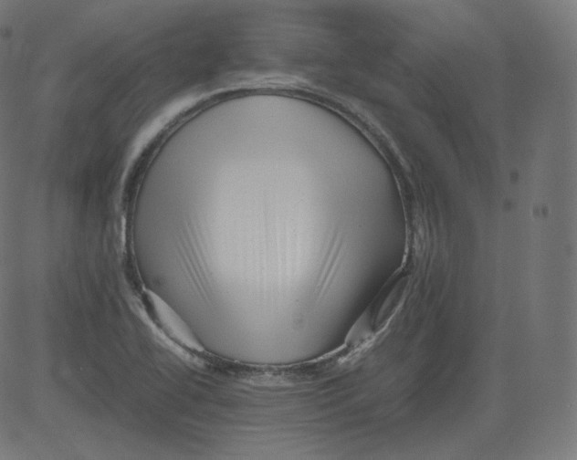 X0000081431414200702092148