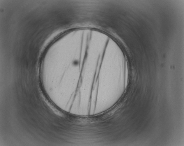 X0000081431416200702092148