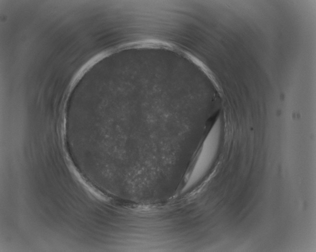 X0000081431418200702092148