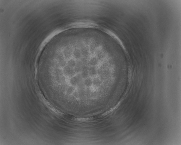 X0000081431419200702092148