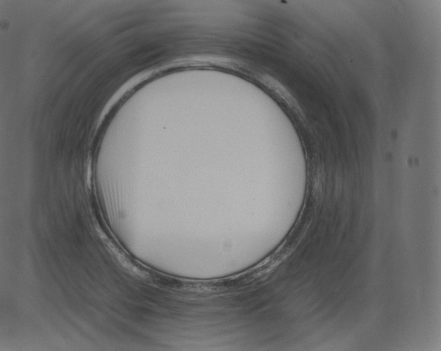 X0000081431420200702092148