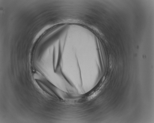 X0000081431422200702092148