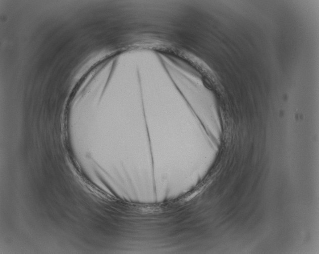 X0000081431423200702092148