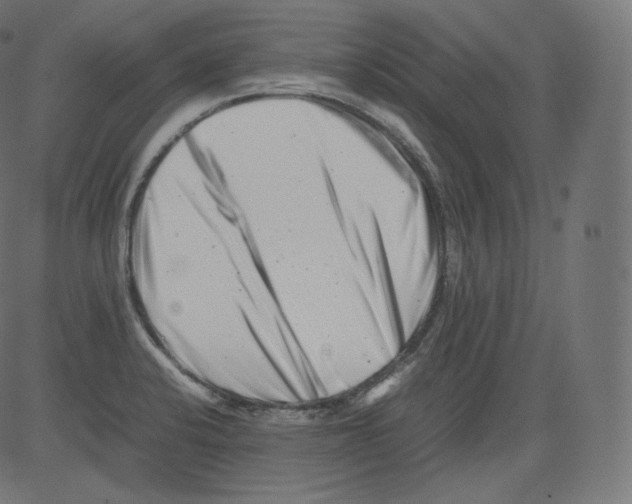 X0000081431424200702092148