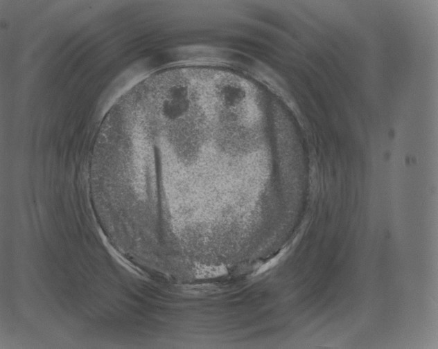 X0000081431425200702092148