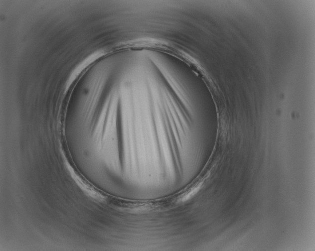 X0000081431426200702092148