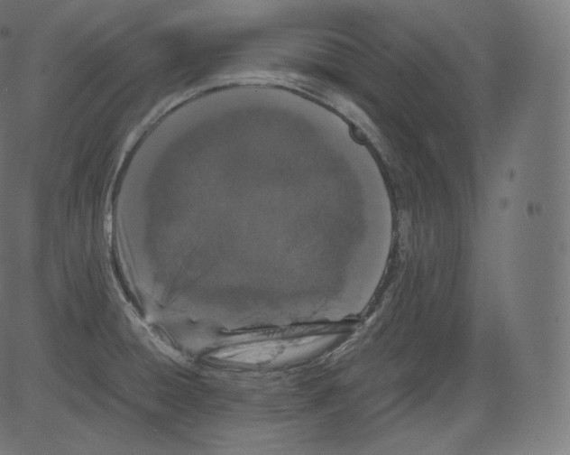 X0000081431428200702092148