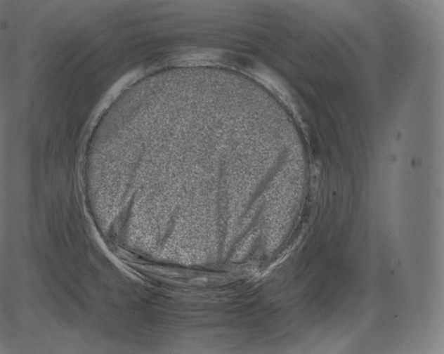 X0000081431429200702092148