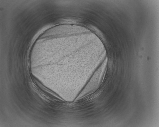 X0000081431435200702092148