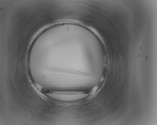 X0000081431438200702092148