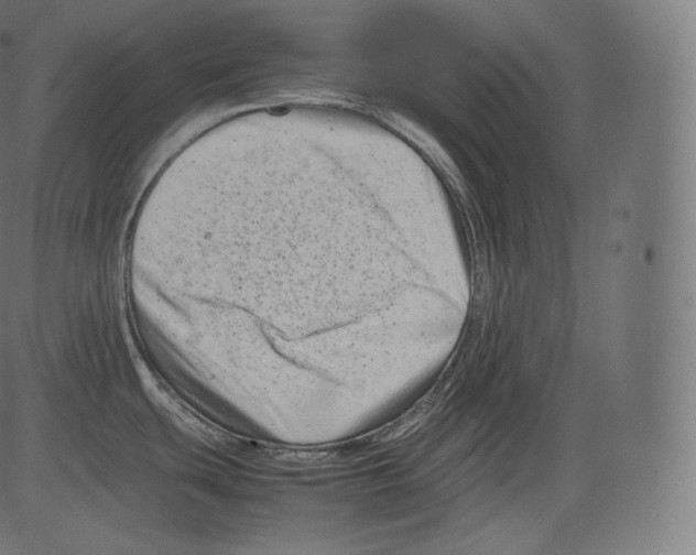 X0000081431439200702092148