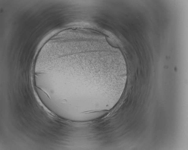 X0000081431440200702092148