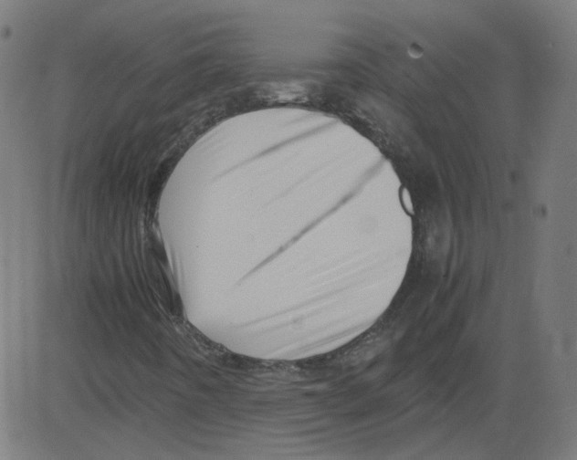 X0000081431442200702092147