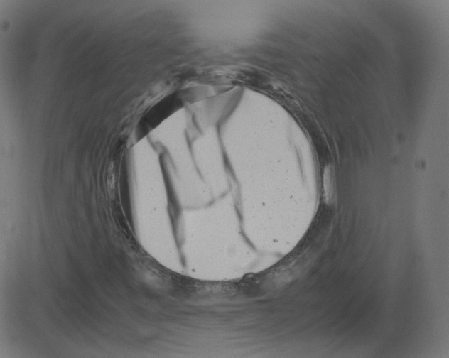 X0000081431443200702092147