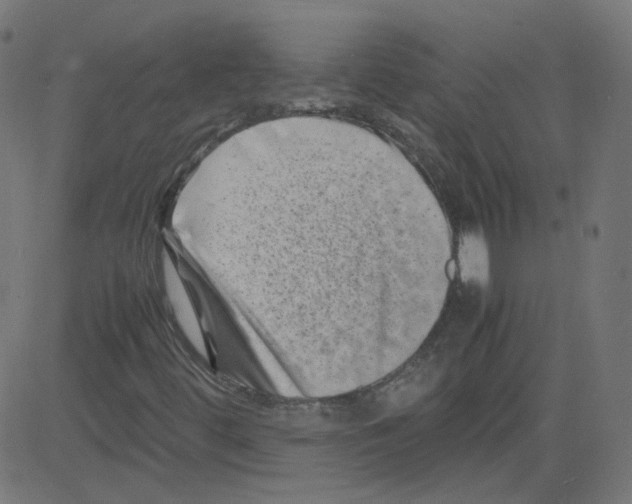 X0000081431444200702092147