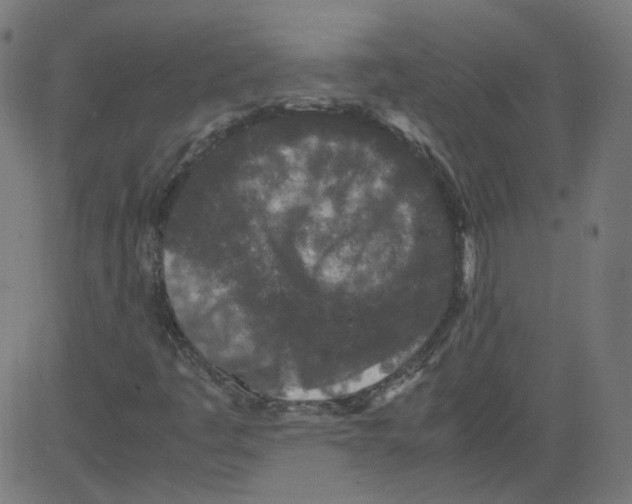 X0000081431445200702092147