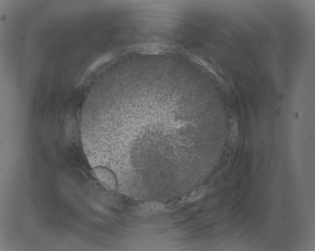 X0000081431446200702092147