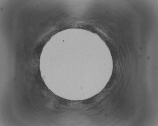 X0000081431447200702092147