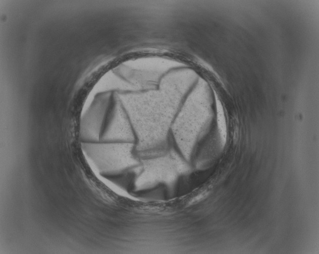 X0000081431448200702092147