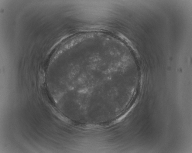 X0000081431449200702092147