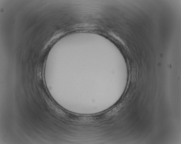 X0000081431451200702092147