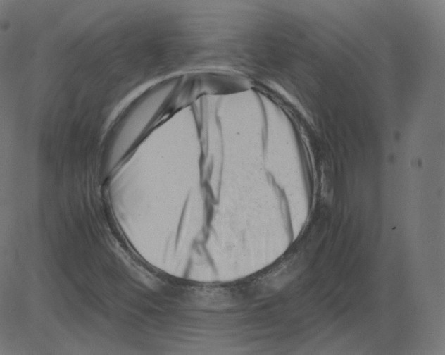 X0000081431452200702092147