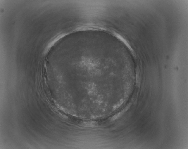 X0000081431453200702092147