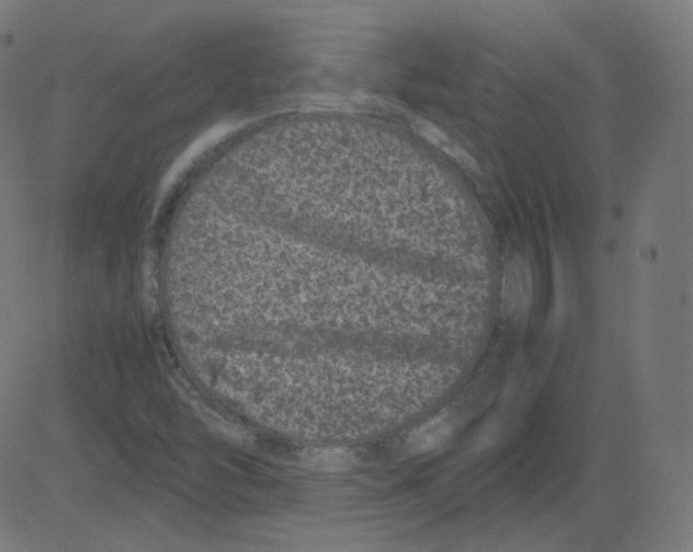 X0000081431454200702092147