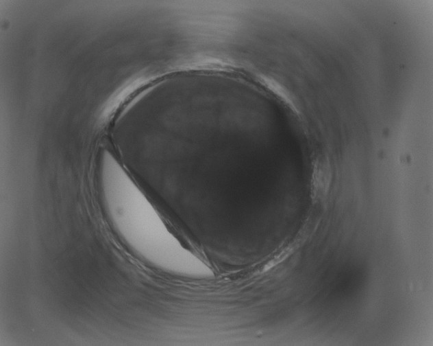 X0000081431455200702092147