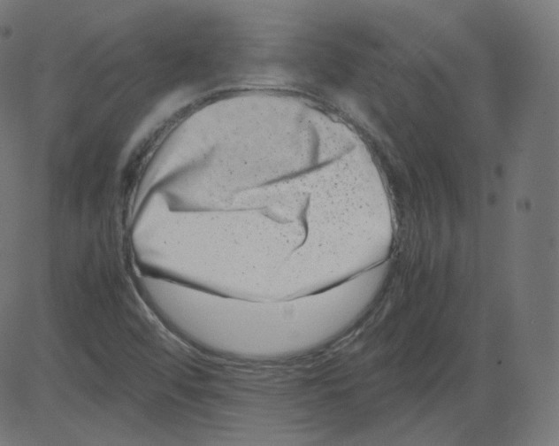 X0000081431456200702092147