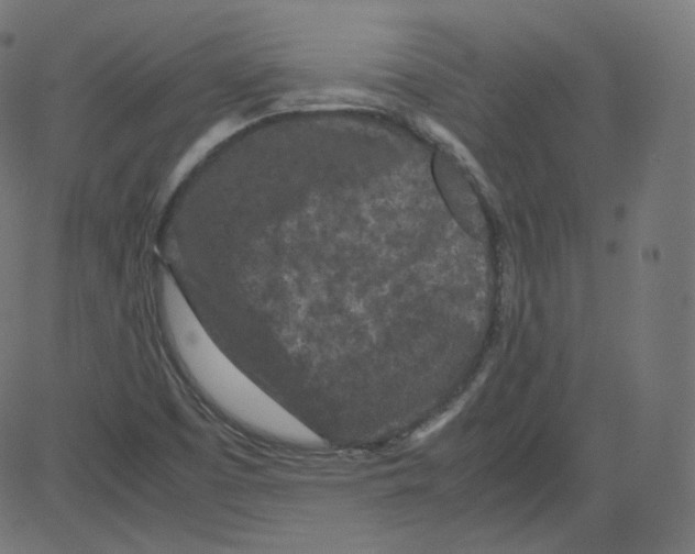 X0000081431457200702092147