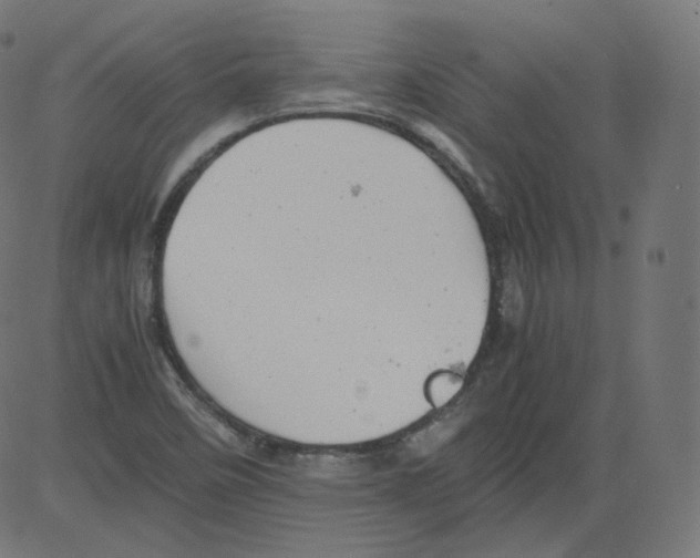 X0000081431458200702092147