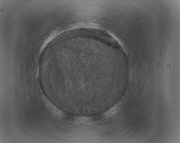 X0000081431459200702092147