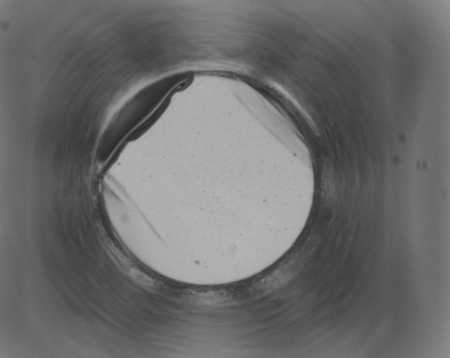 X0000081431460200702092147