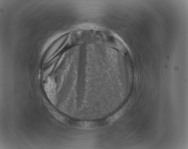 X0000081431461200702092147