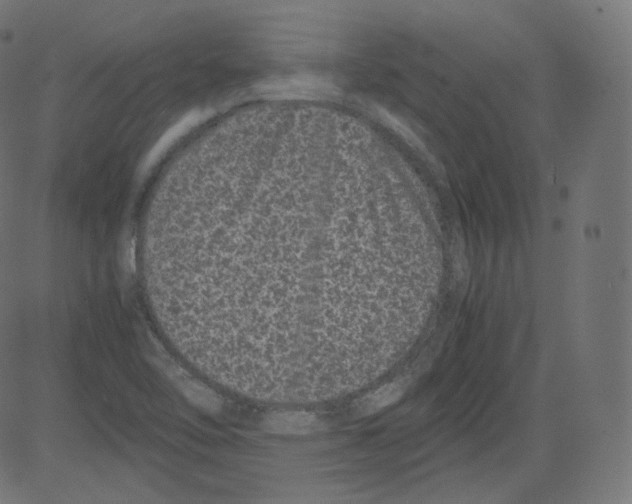 X0000081431462200702092147