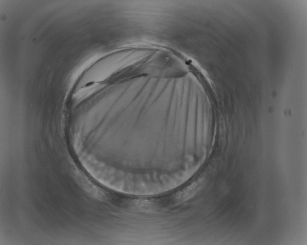 X0000081431463200702092147