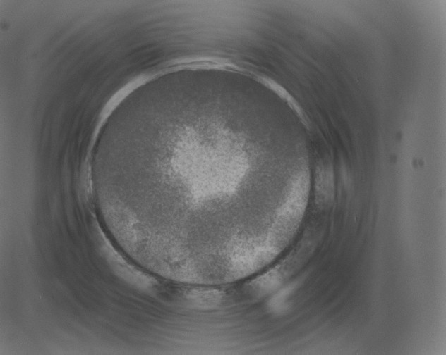 X0000081431466200702092147