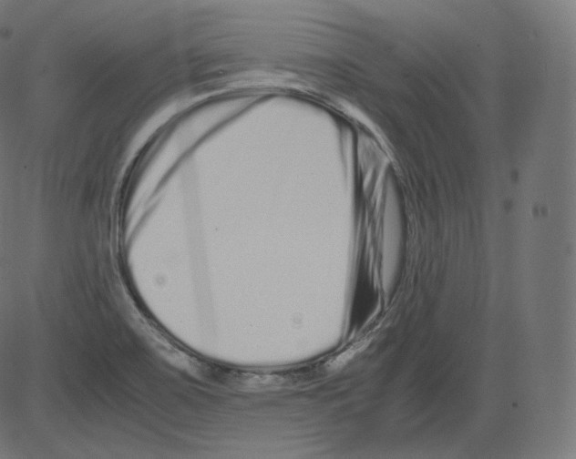 X0000081431467200702092147