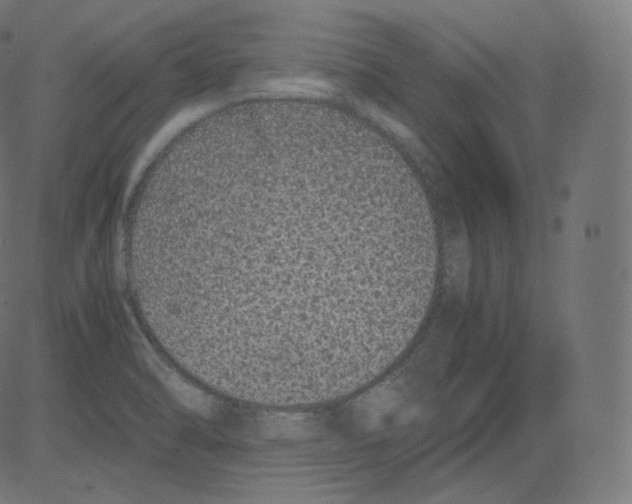 X0000081431470200702092147