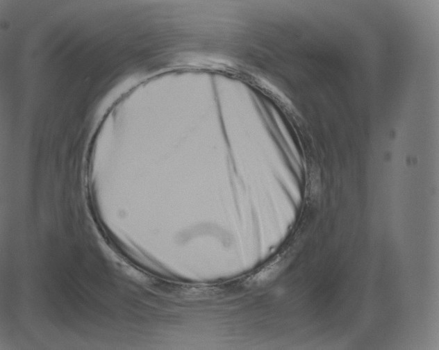 X0000081431471200702092147