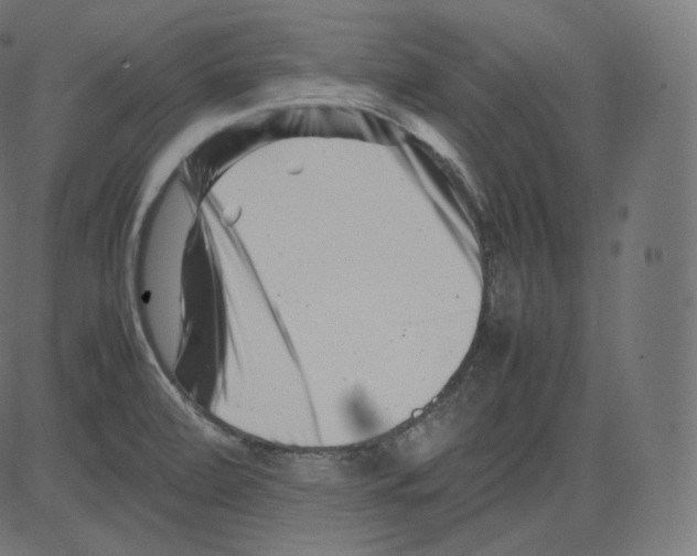 X0000081431472200702092147