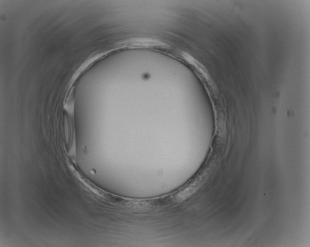 X0000081431473200702092147