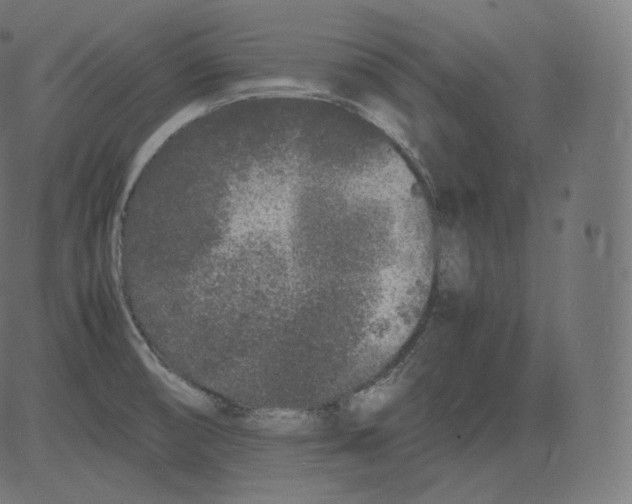 X0000081431474200702092147