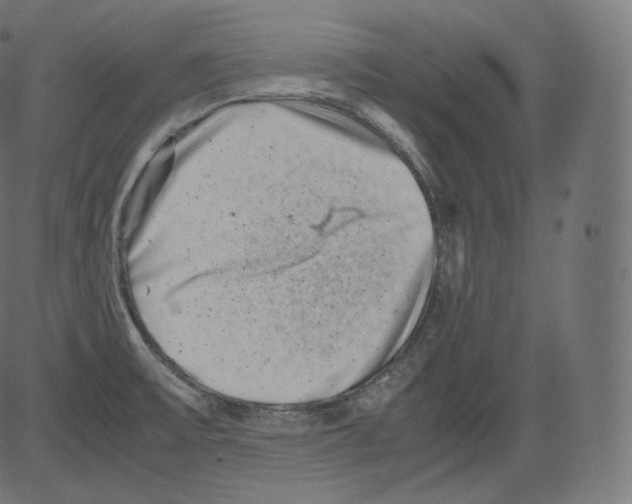 X0000081431475200702092147